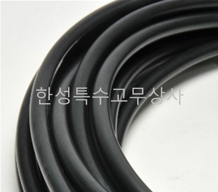 바이톤(불소) 줄오링 20M