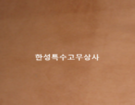 가죽판